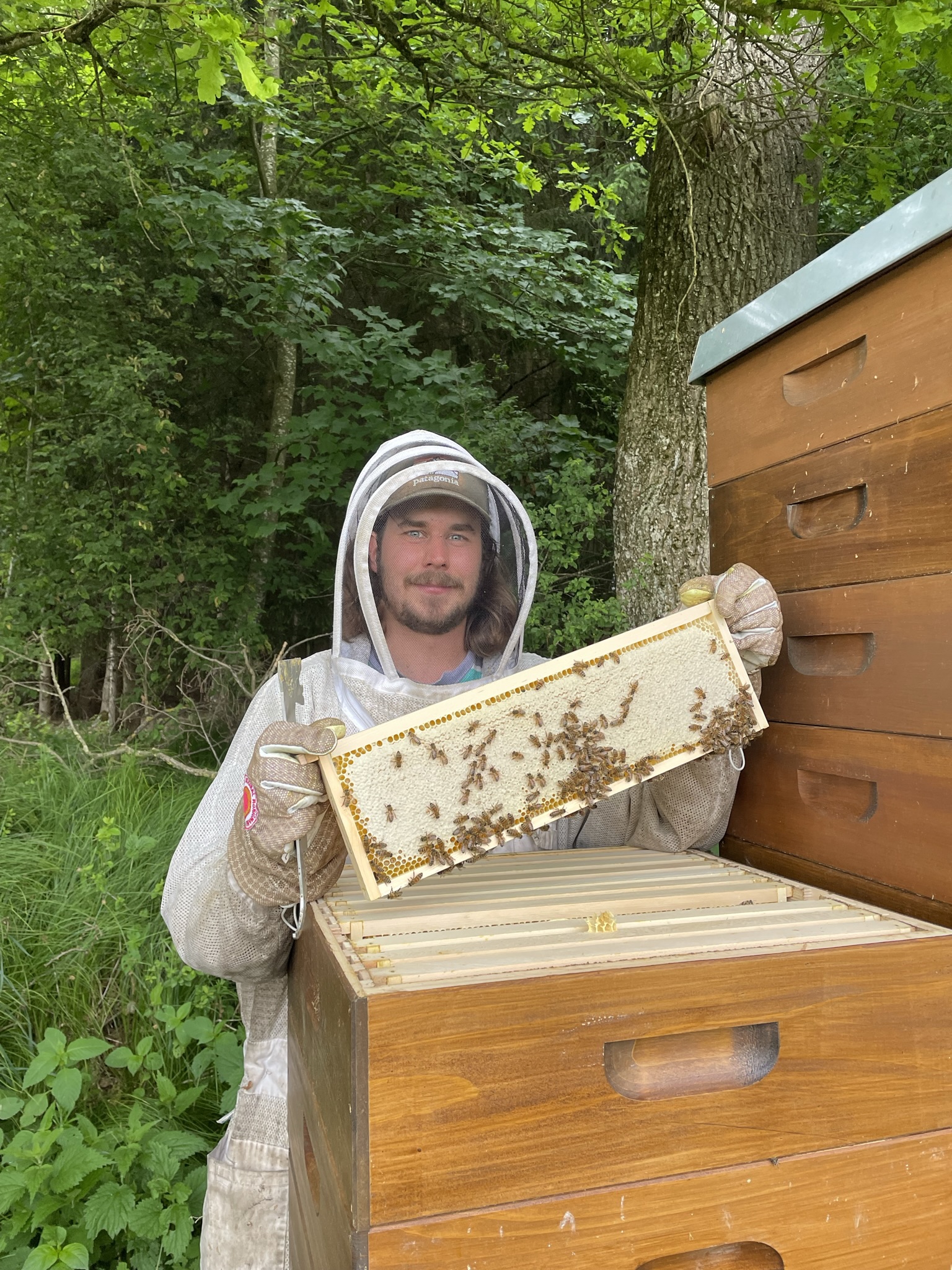 Imker Luis Reckziegel steht mit einer Honigwabe voll mit Allgäuer Honig an seinem Bienenvolk